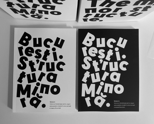 STRUCTURA MINORĂ BUCUREȘTI | NOUL BAUHAUS EUROPEAN