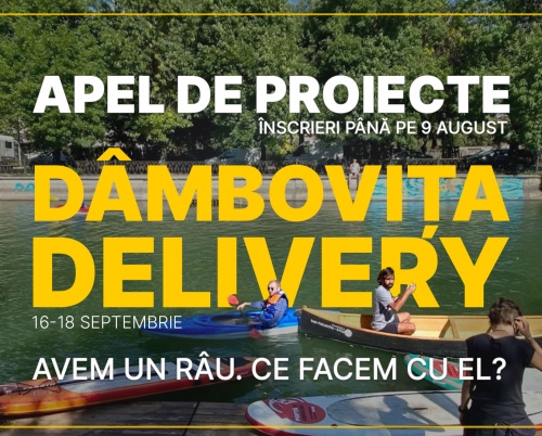 Apel de proiecte DÂMBOVIȚA DELIVERY 2022