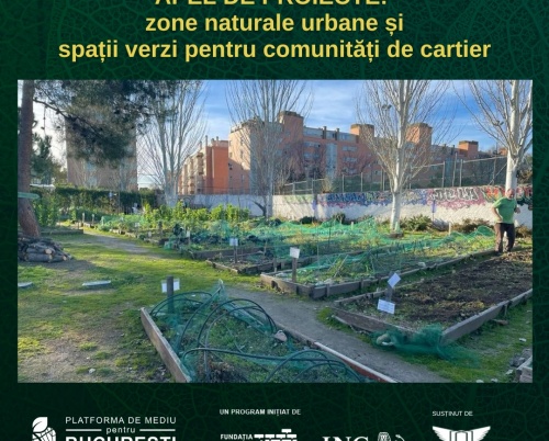 Platforma de Mediu pentru București | NOUL BAUHAUS EUROPEAN 