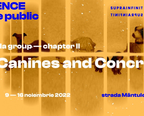 SEQUENCE & the public | Galeria Suprainfinit