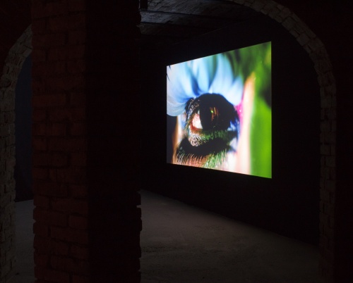 Arta schimbă jocul în business și pe piața muncii