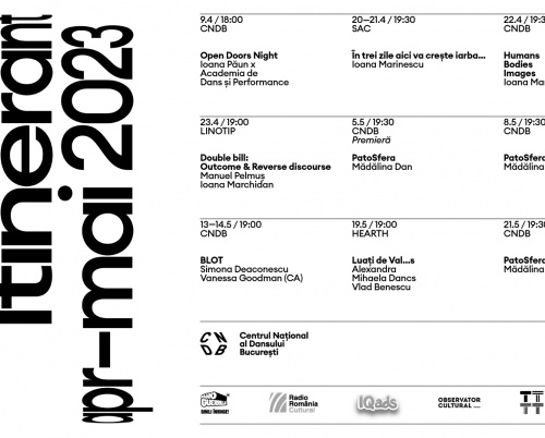 3 spectacole și o instalație performativă musai de văzut săptămâna asta în programul CNDB Itinerant