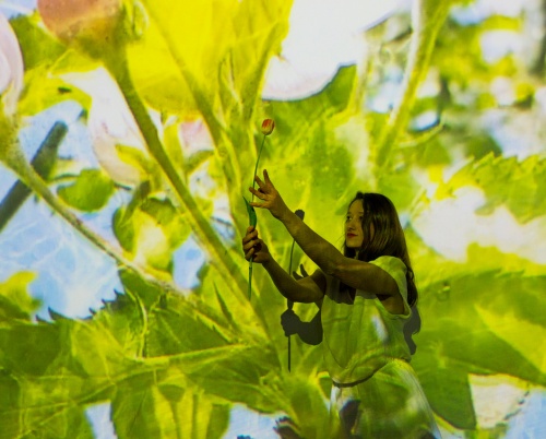 ”Cancer, Coregrafiat” turneu și premieră internațională la New Jersey și New York