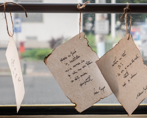 Tramvaiul Poeziei ajunge la Timișoara, pe 3 și 4 iunie