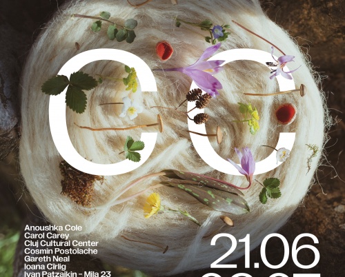 Expoziția Circular Catalysts, organizată de British Council și ICR, inaugurează centrul multicultural HEI din Timișoara