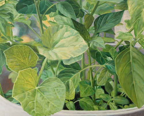 ECOLOGIILE GRIJII ȘI ÎNGRIJIRII