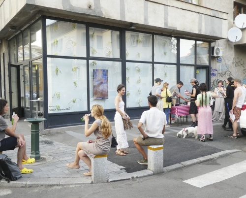 Sequence #16 Corner Field | Chlorys