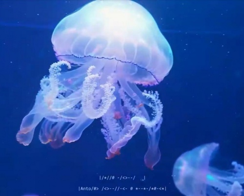 Artă digitală creată cu ajutorul AI, expusă neconvențional în magazinele Altex și Media Galaxy participante