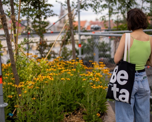 1306 de plante pentru Timișoara