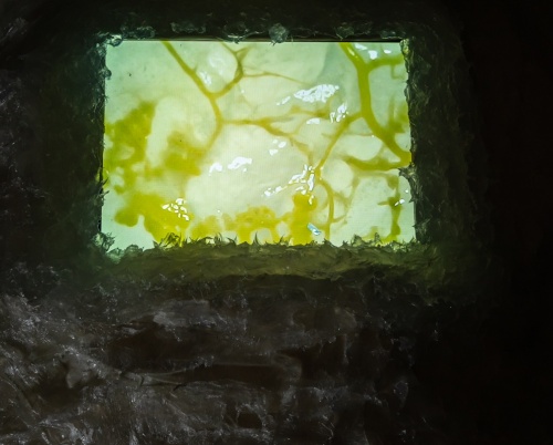 Expoziția THIS IS MY YOUTHOPIA