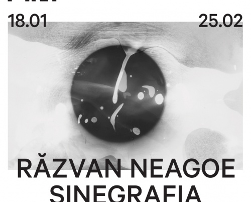 Galeria de artă Arsmonitor deschide programul curatorial 2024: Răzvan Neagoe: Sinegrafia