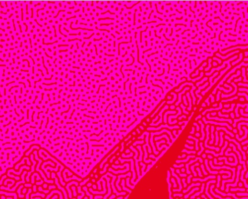 UniCredit Bank x RDW capsule merch collection 2024 | Open Call for Young Graphic Artists