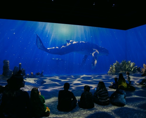 ISPACE, cel mai nou spațiu imersiv din România, și-a deschis porțile