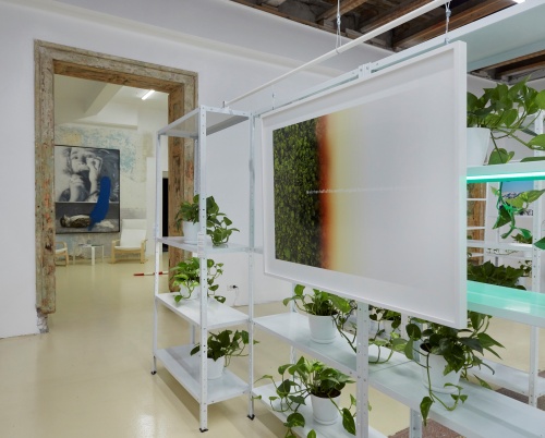 „Touch Nature” & be touched by our words | tur ghidat 2.0 @ /SAC Bucharest