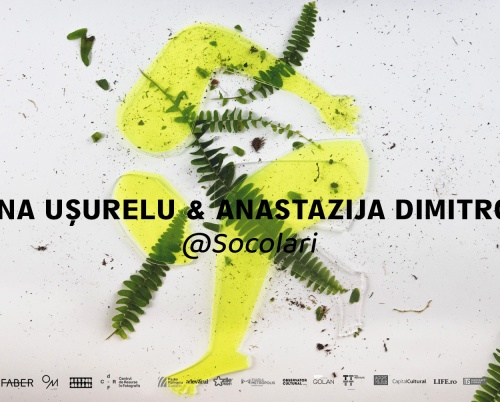 Grija pentru natură este grijă pentru sine – rezidență artistică în cadrul proiectului All Sorts of Care, al asociației Developing Art