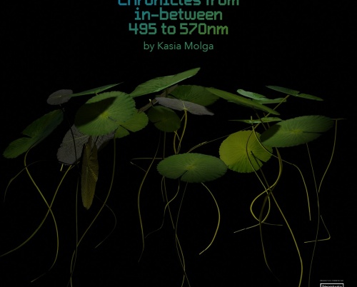 Chronicles from In-Between 495-570 nm - o cronică a lumii naturale evanescente la granița dintre artă, știință și memorie personală