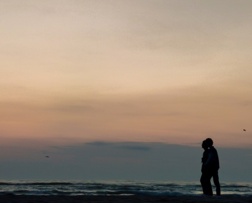 „The Seed of the Sacred Fig”, premiat anul acesta la Cannes, va deschide  cea de-a 21-a ediție a Festivalului Internațional de Film ANONIMUL