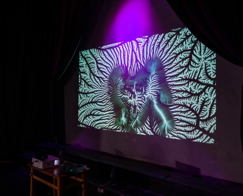 Între tradiție și tehnologie futuristă, arta și știința își dau mâna în proiectul Arborescent, la Marginea