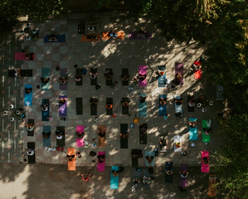 Băi cu gheață, cartografierea grădinii Casei Universitarilor, degustări de pâine și multe alte experiențe pe care să nu le ratezi la UNFINISHED 