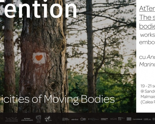 Asociatia Developing Art deschide sezonul de toamna cu doua ateliere la intersectia dintre miscare, storytelling si cinema, conduse de artiste din Serbia si Croatia