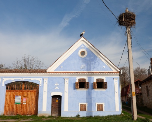 A început rezidența Șona AIR 2025