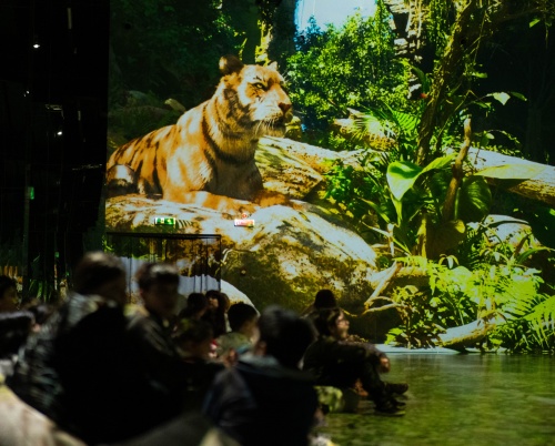 PLANETA ANIMALELOR – Jungla @MINA