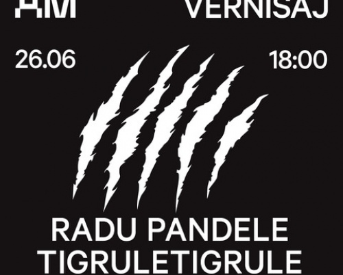 Solo-show Radu Pandele: Tigruletigrule, la ARSMONITOR