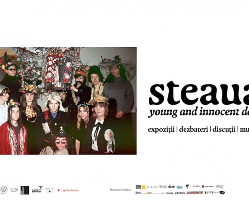 Proiectul artistic „steaua. young and innocent days” — o poveste inedita, un dialog deschis intre generatii