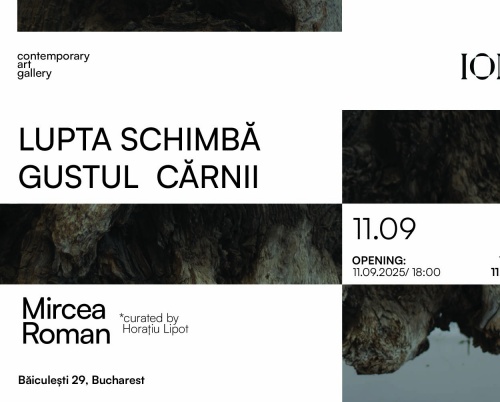 “Lupta schimbă gustul cărnii” - expoziția personală a artistului Mircea Roman la IOMO Gallery