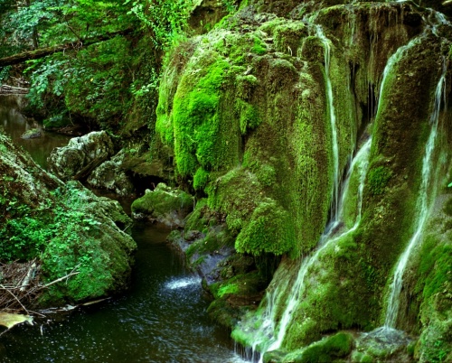 Colegi de lume: De la inteligența apei din Cheile Nerei, la o „Insulă de Apă Vie” pentru familii în inima Timișoarei, între 29-31 octombrie 2025